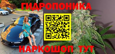шишки Донецк