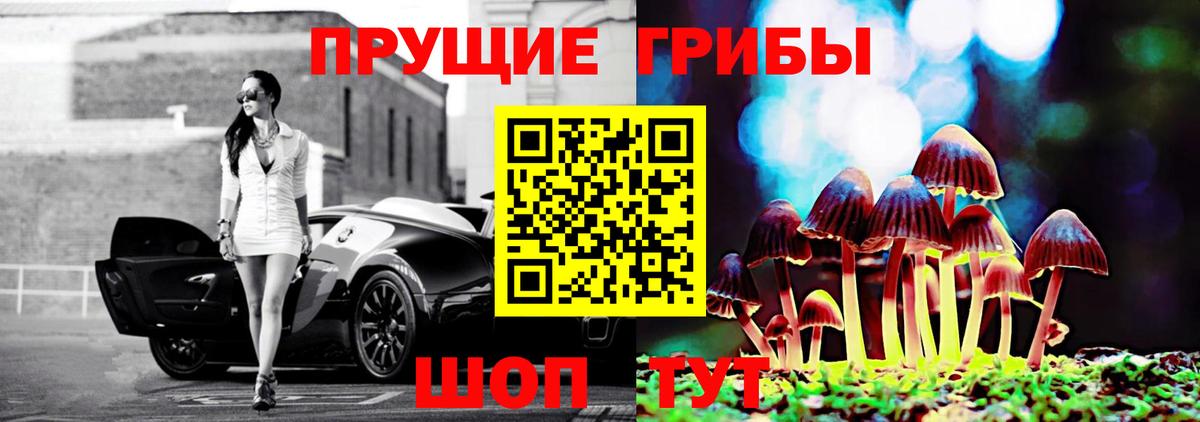 Касимов  Псилоцибиновые грибы ЛСД  Вход с VPN  Галлюциногенные грибы ЛСД 